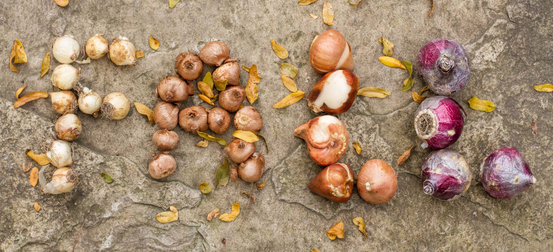 Garland Nursery Inspiring Gardeners since 1937